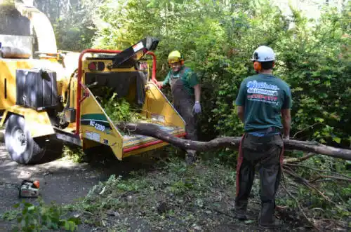 tree services West Jefferson